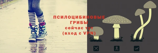 ПСИЛОЦИБИНОВЫЕ ГРИБЫ Приозерск