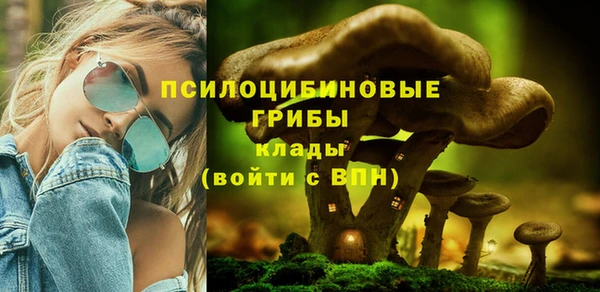 MDMA Premium VHQ Пролетарск