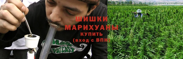 ПСИЛОЦИБИНОВЫЕ ГРИБЫ Приозерск