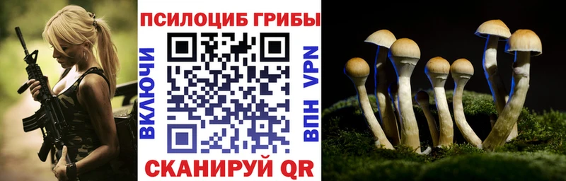Купить  Щёкино  Псилоцибиновые грибы Cubensis 